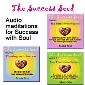 The Success Seed Audio Journeys