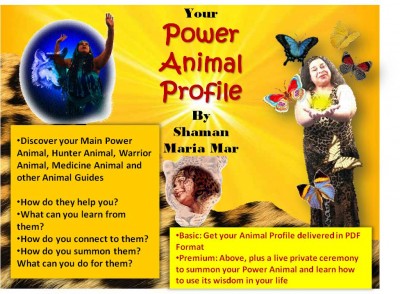 Your Power Animal Profile
